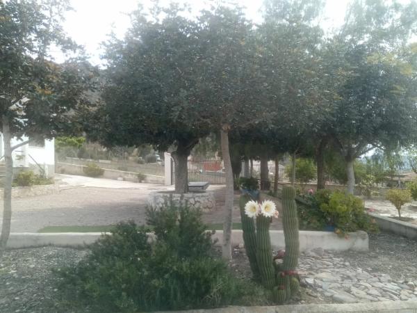 Casa independiente en calle Aragon-r Ab, 12