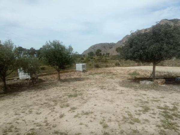 Casa independiente en calle Aragon-r Ab, 12