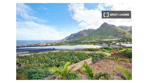 Piso en alquiler de 3 habitaciones en San Cristóbal de la Laguna