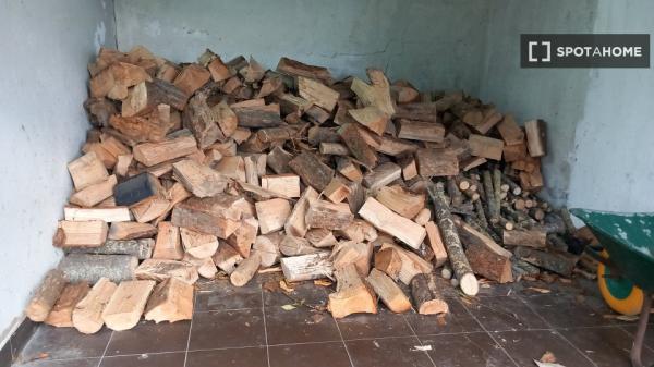 Chambre dans un appartement partagé à Getxo