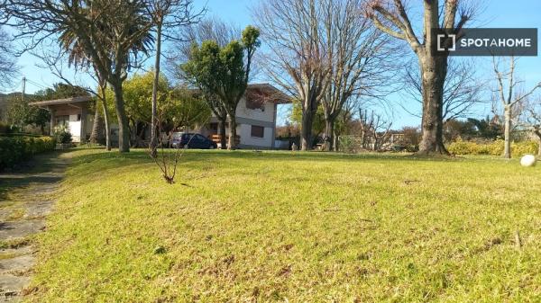Room in shared apartment in Getxo