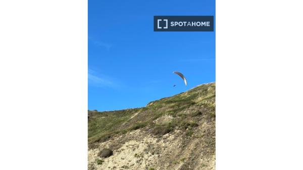 Room in shared apartment in Getxo