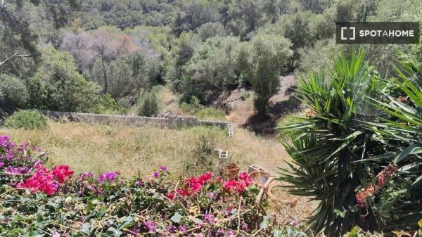 Apartamento de 1 dormitorio en alquiler en Calvià