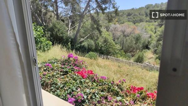 Apartamento de 1 dormitorio en alquiler en Calvià