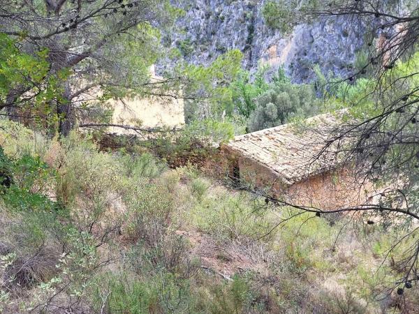 Terreno en Partida Casas del Archs