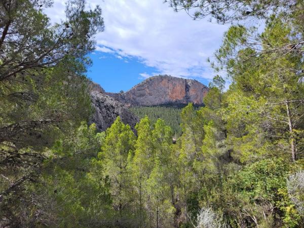 Terreno en Partida Casas del Archs