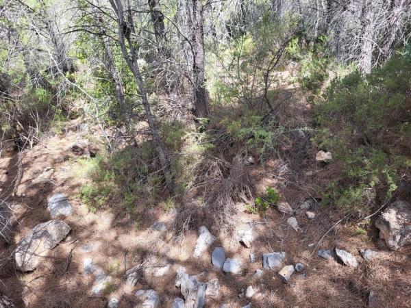 Terreno en Partida Casas del Archs