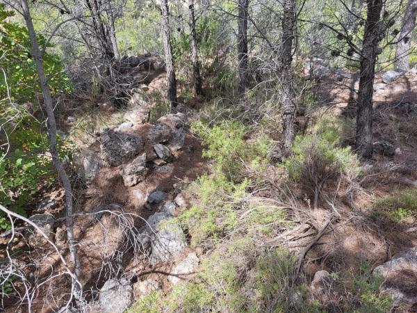 Terreno en Partida Casas del Archs