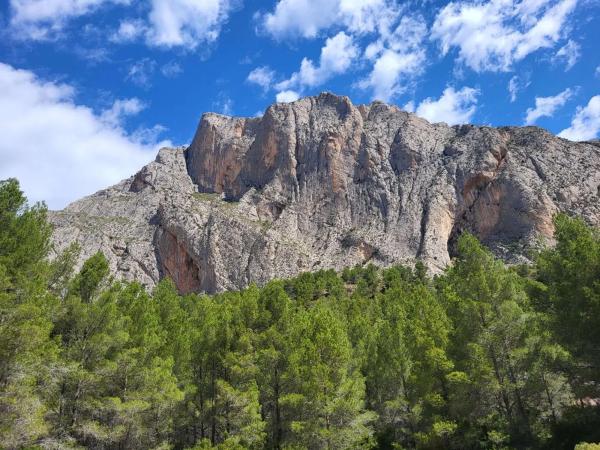 Terreno en Partida Casas del Archs