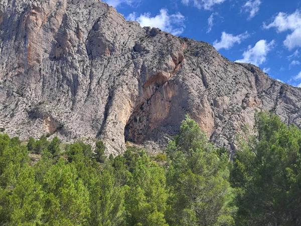 Terreno en Partida Casas del Archs
