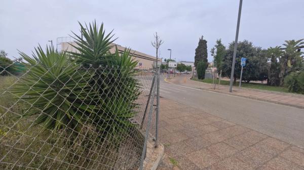 Terreno en Barrio Les Bassetes-El Marjal