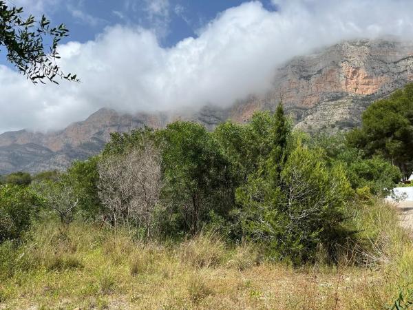 Terreno en calle del Cabeço