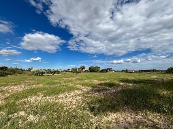 Terreno en La Hoya-Daimes-El Derramador