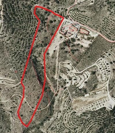 Terreno en Pla de la Gralla