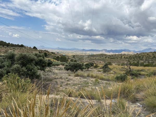 Terreno en Pla de la Gralla