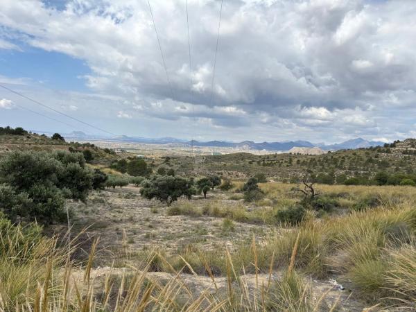 Terreno en Pla de la Gralla
