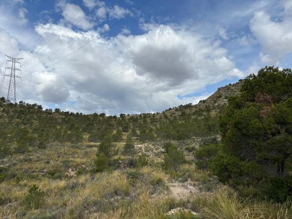 Terreno en Pla de la Gralla