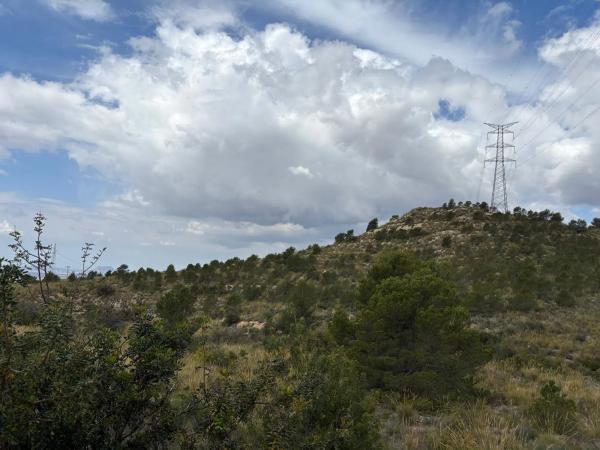 Terreno en Pla de la Gralla