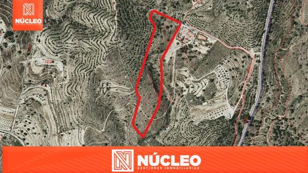 Terreno en Pla de la Gralla