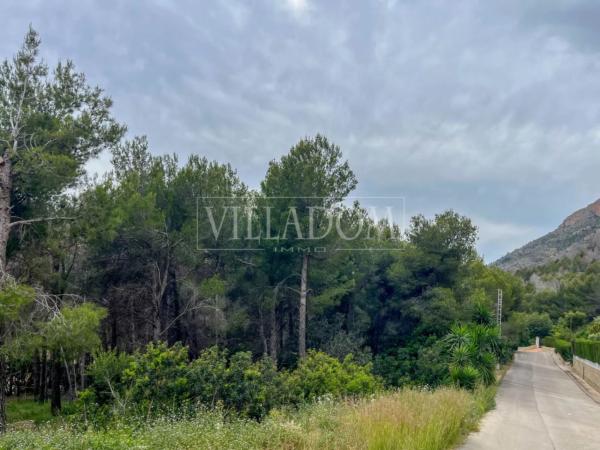 Terreno en Montgó - Ermita