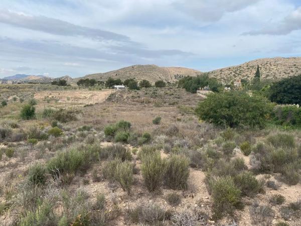 Terreno en avenida de las Islas s/n