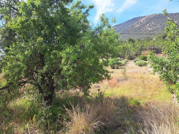 Terreno en Finestrat Pueblo