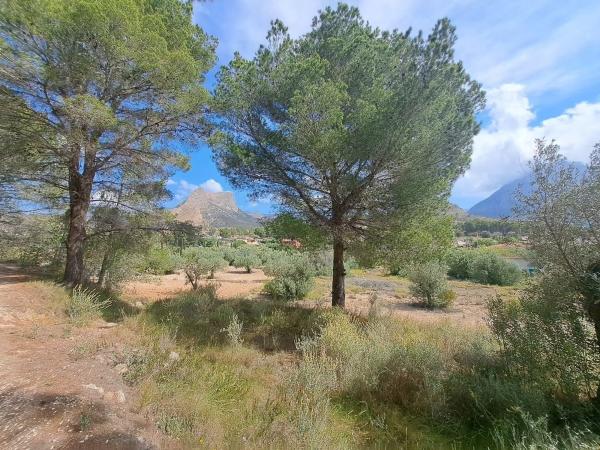 Terreno en Finestrat Pueblo