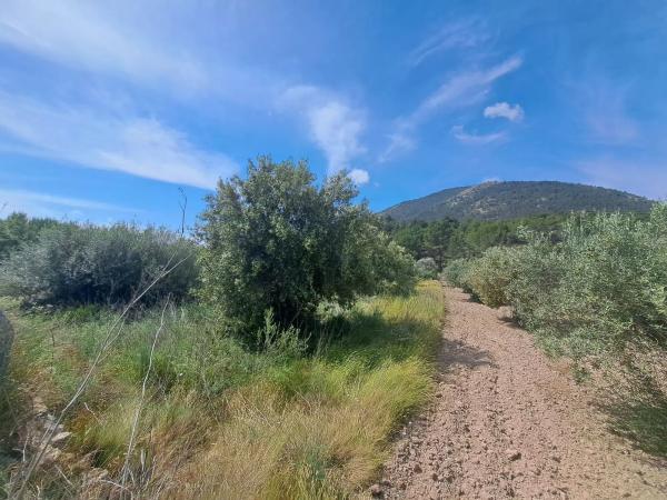 Terreno en Finestrat Pueblo