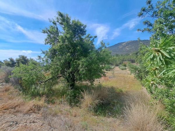 Terreno en Finestrat Pueblo