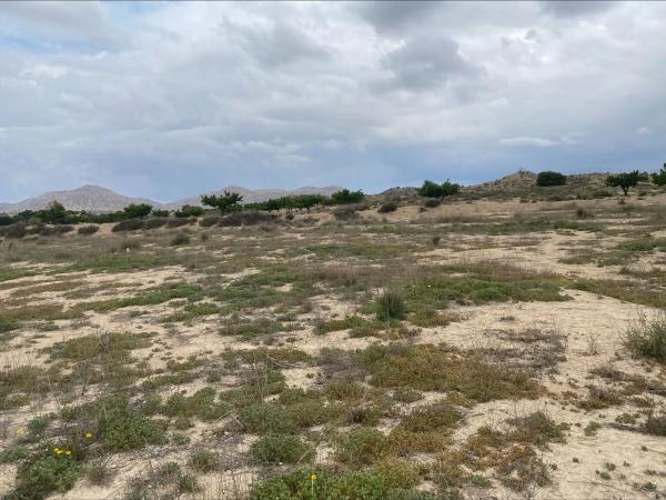 Terreno en El Rebolledo s/n