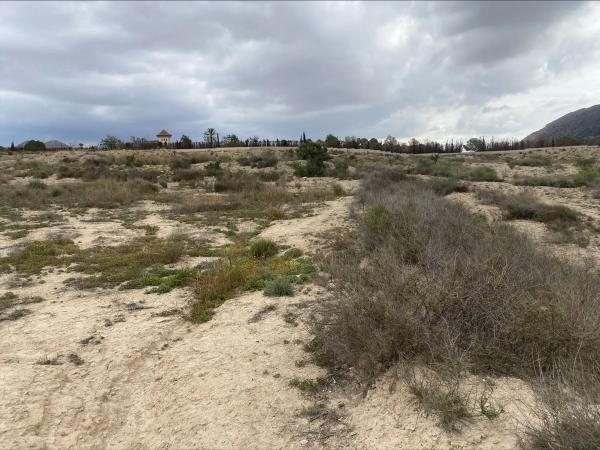 Terreno en El Rebolledo s/n