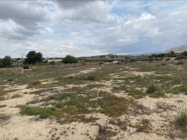 Terreno en El Rebolledo s/n