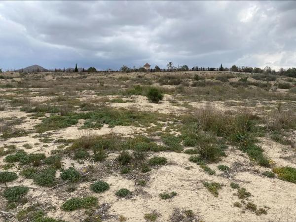 Terreno en El Rebolledo s/n