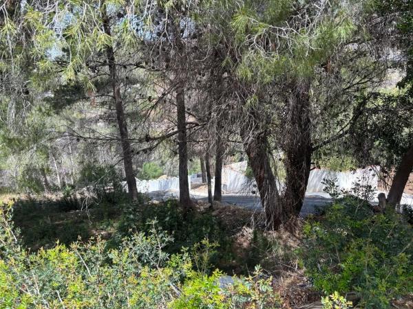 Terreno en calle Bassa, 21