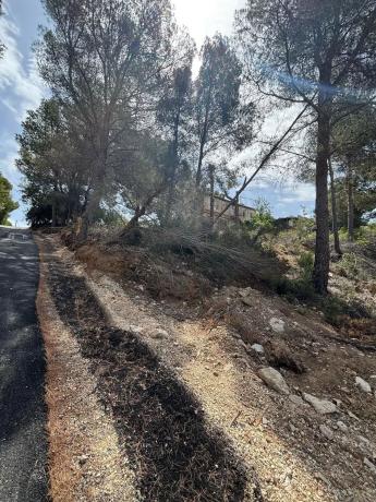 Terreno en calle Bassa, 21