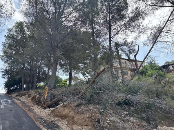 Terreno en calle Bassa, 21