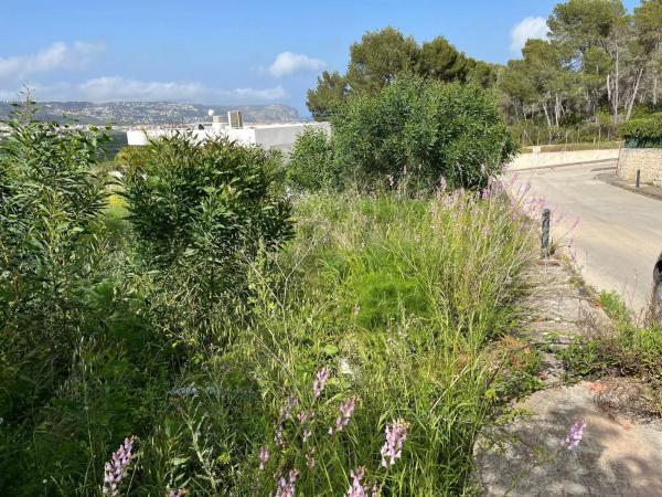 Terreno en calle Río Jalón