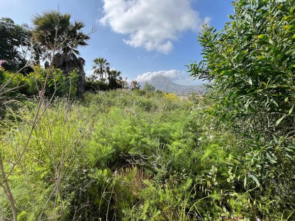Terreno en calle Río Jalón