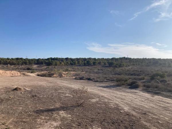 Terreno en calle Azafrán s/n