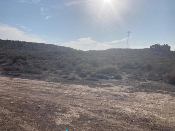 Terreno en calle Azafrán s/n