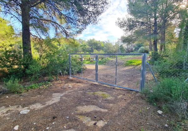 Terreno en Partida Campulles, 24