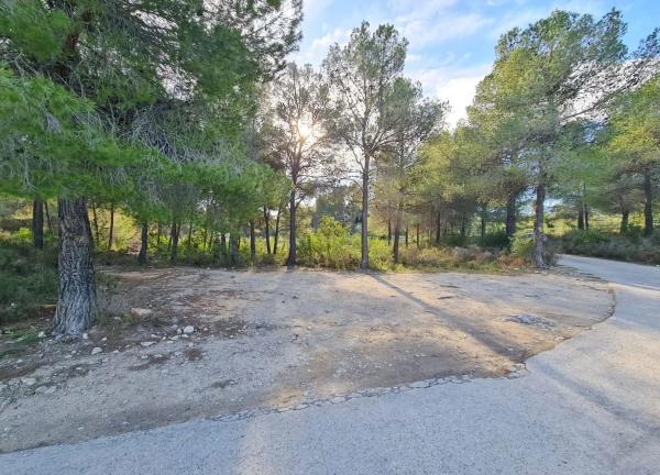 Terreno en Partida Campulles, 24
