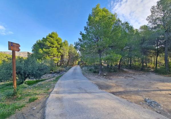 Terreno en Partida Campulles, 24