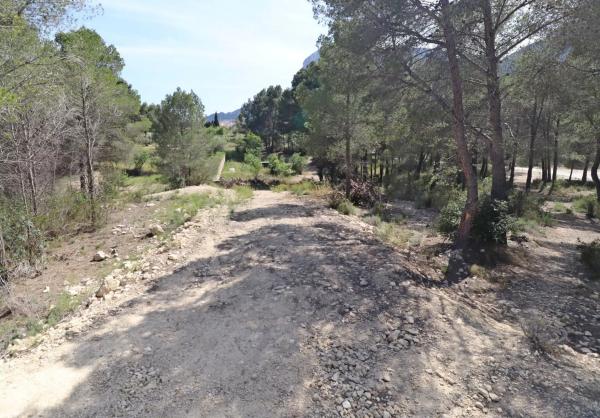 Terreno en Partida Campulles, 24