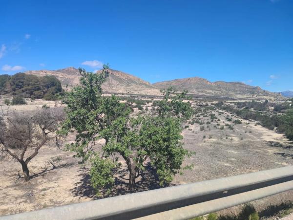 Terreno en La Alcoraya, 25 PolgonoParcelas