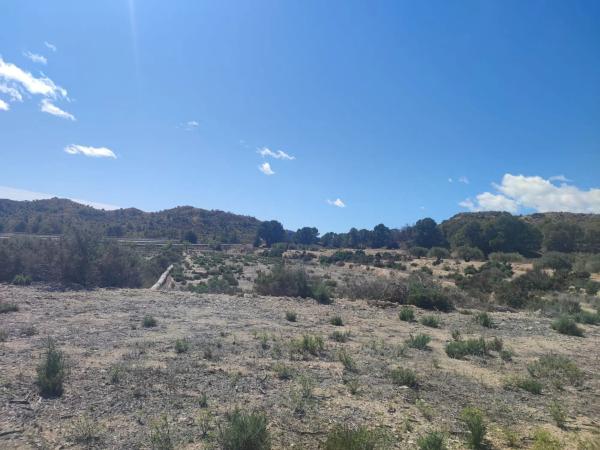 Terreno en La Alcoraya, 25 PolgonoParcelas