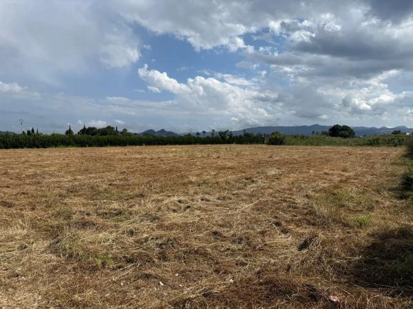 Terreno en camino Miraflor a la Mar, km 1
