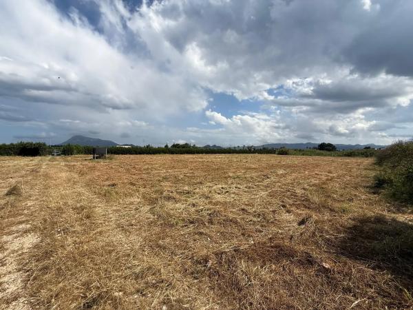 Terreno en camino Miraflor a la Mar, km 1