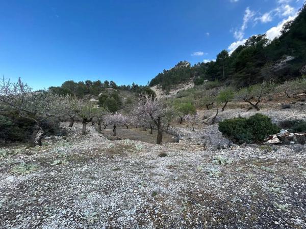 Terreno en camino Llagaria, 6 Poligono