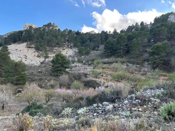 Terreno en camino Llagaria, 6 Poligono